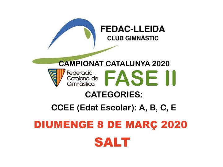 FASEII CCEE GIMANSITCFEDAC LLEIDA